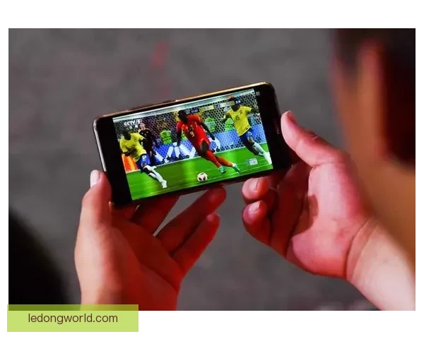 世界杯足球盛宴竞猜攻略与投注技巧全方位解析